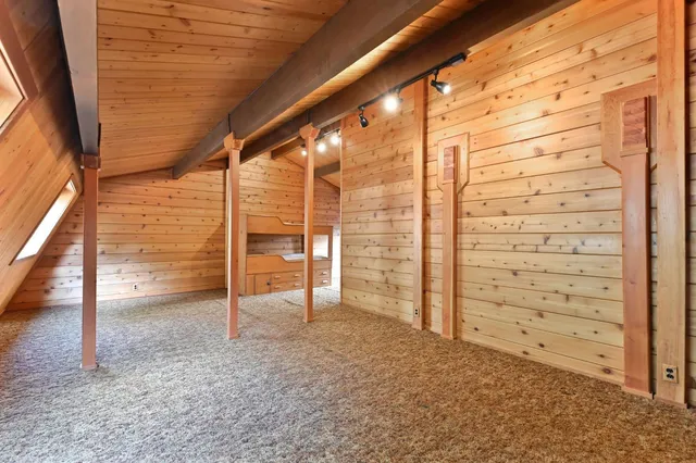 a view of a road with plants and trees
