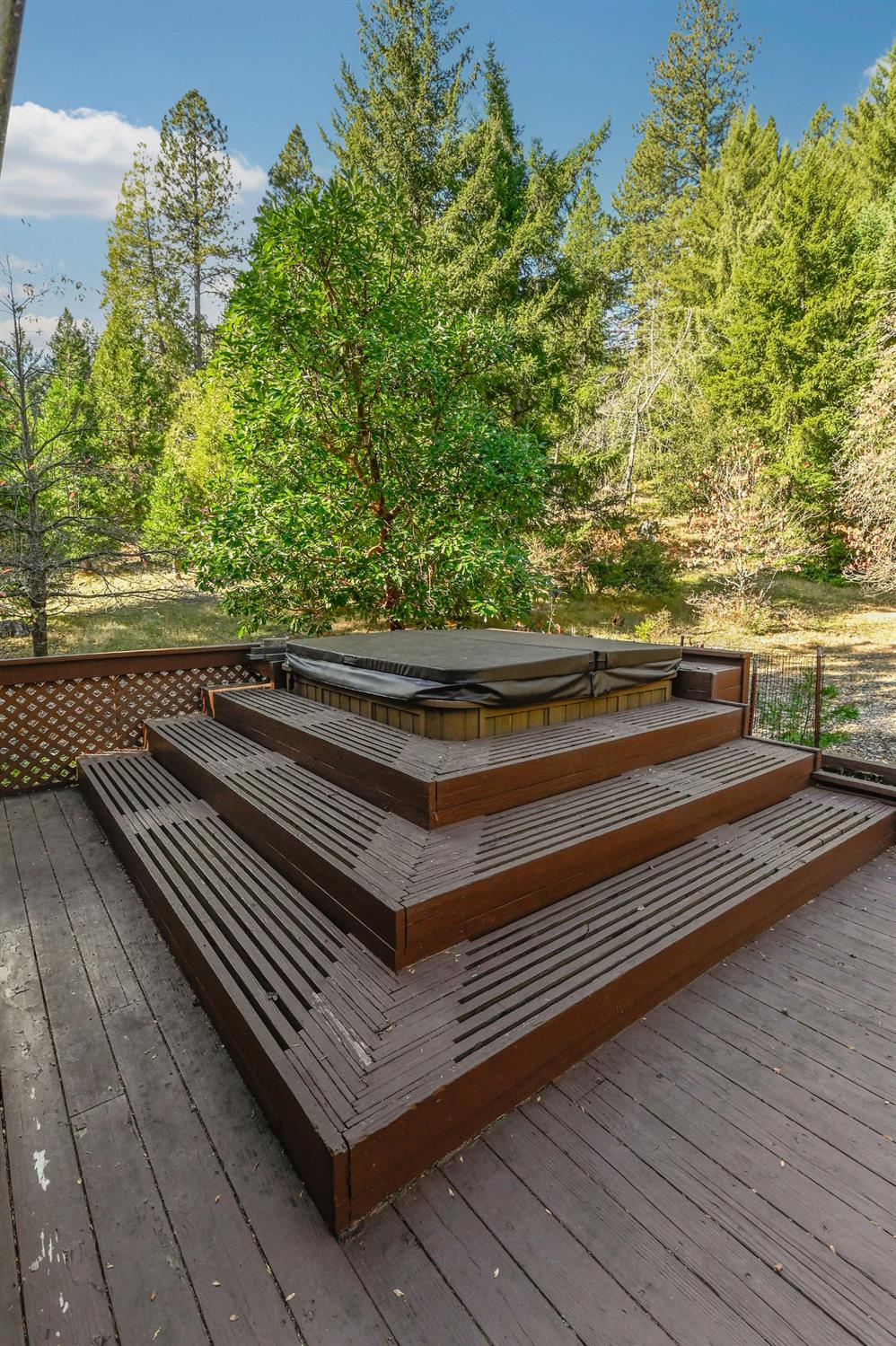 26897 Spring Court Pioneer, CA 95666 - Photo 59 of 97