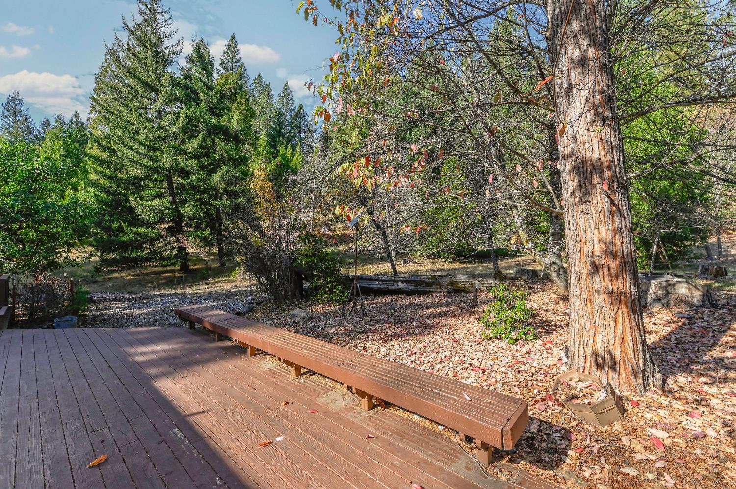 26897 Spring Court Pioneer, CA 95666 - Photo 62 of 97