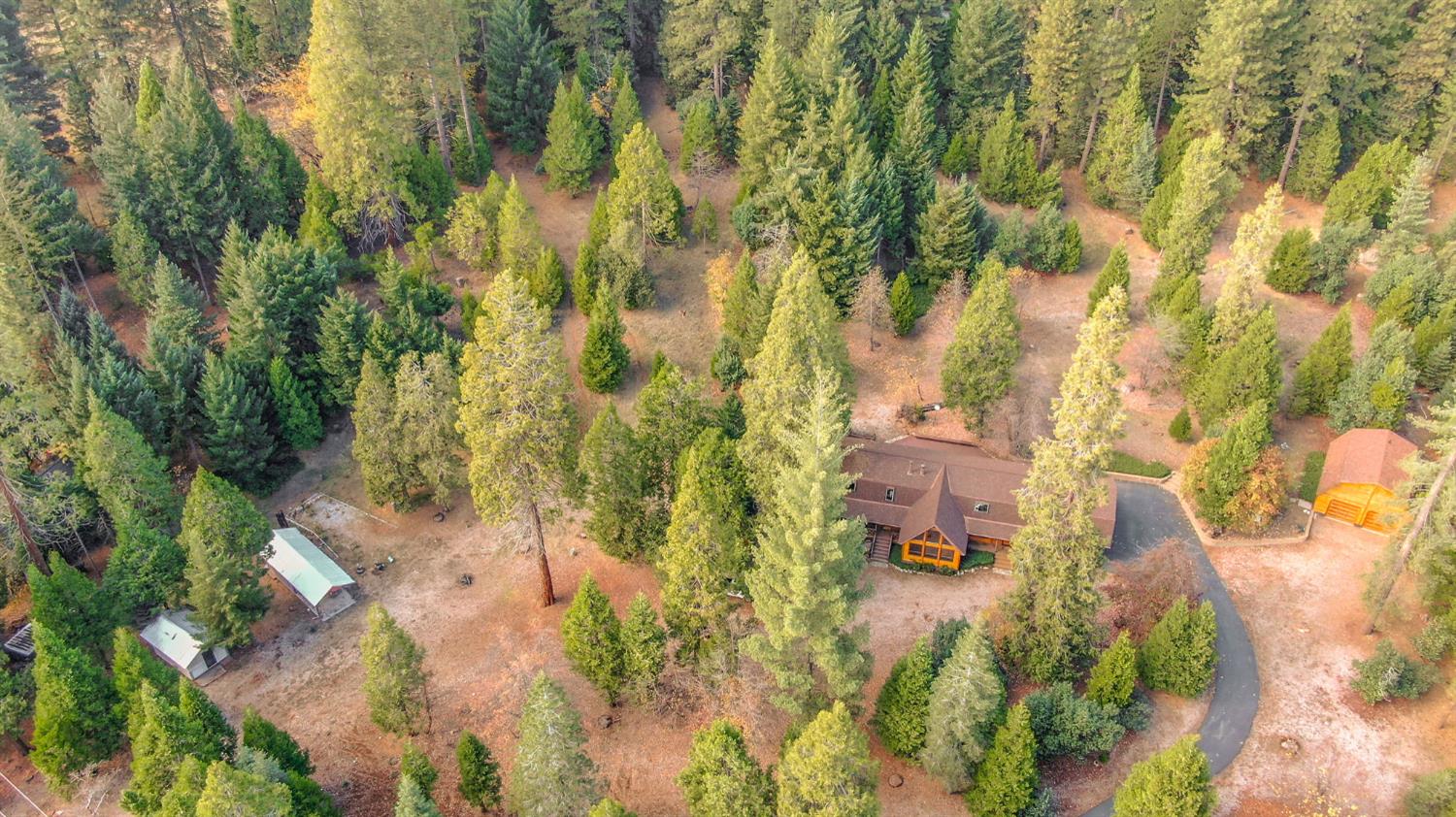 26897 Spring Court Pioneer, CA 95666 - Photo 83 of 97