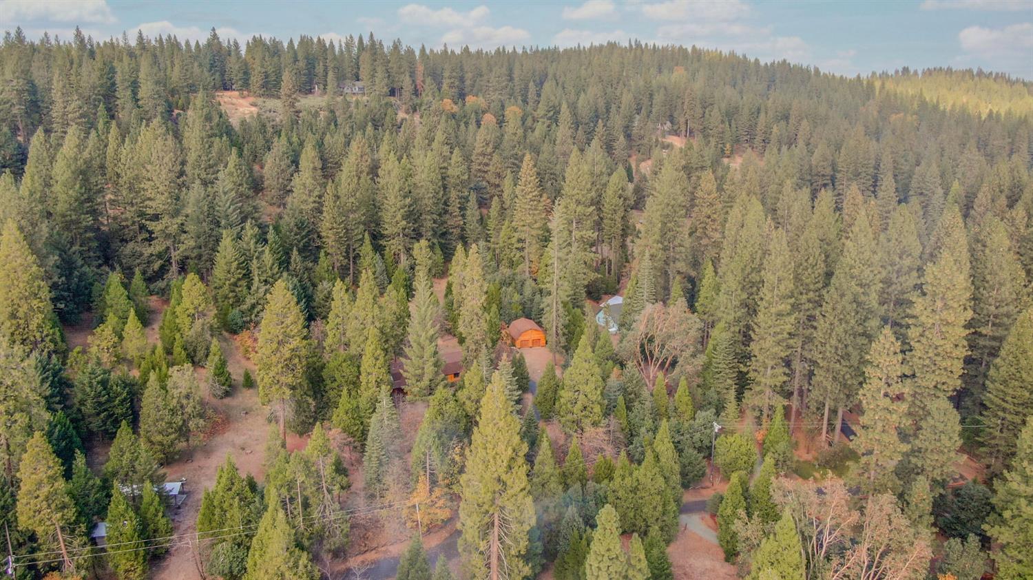 26897 Spring Court Pioneer, CA 95666 - Photo 84 of 97