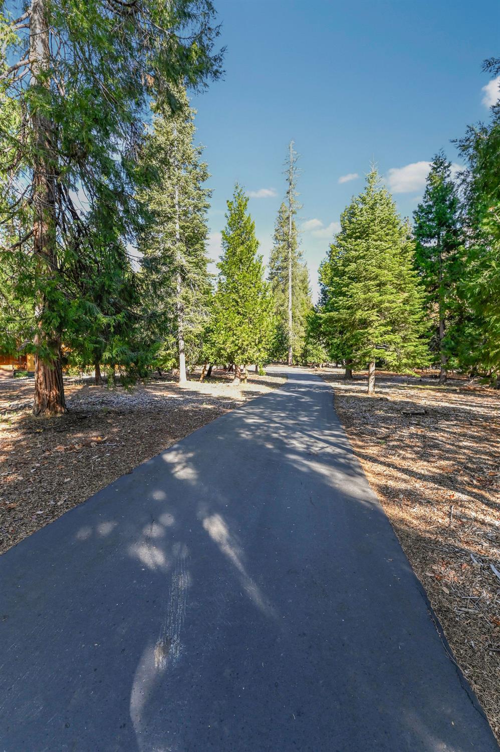 26897 Spring Court Pioneer, CA 95666 - Photo 95 of 97