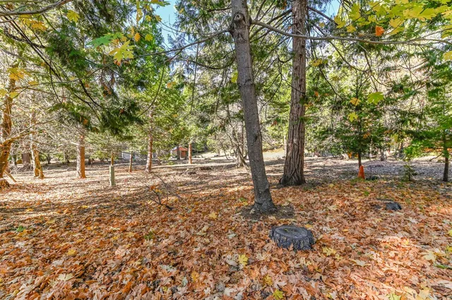 $558,000 | 26897 Spring Court, Pioneer, CA 95666