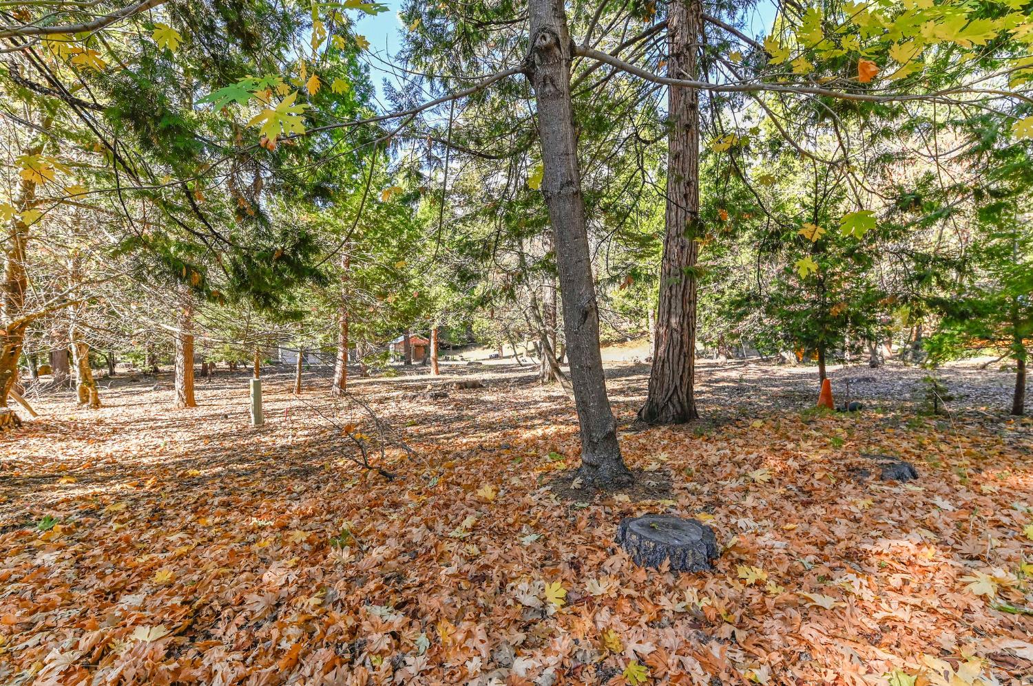 26897 Spring Court Pioneer, CA 95666 - Photo 97 of 97