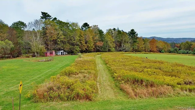 a view of a big yard with lots of green space