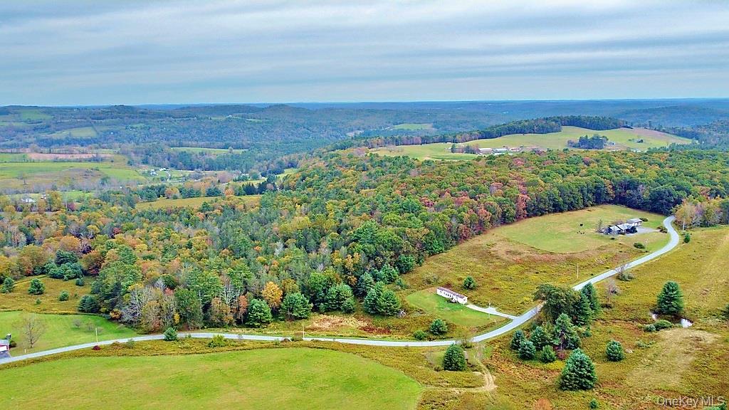 0 Kautz Road Callicoon, NY 12723 - Photo 4 of 12 a view of a swimming pool with a yard