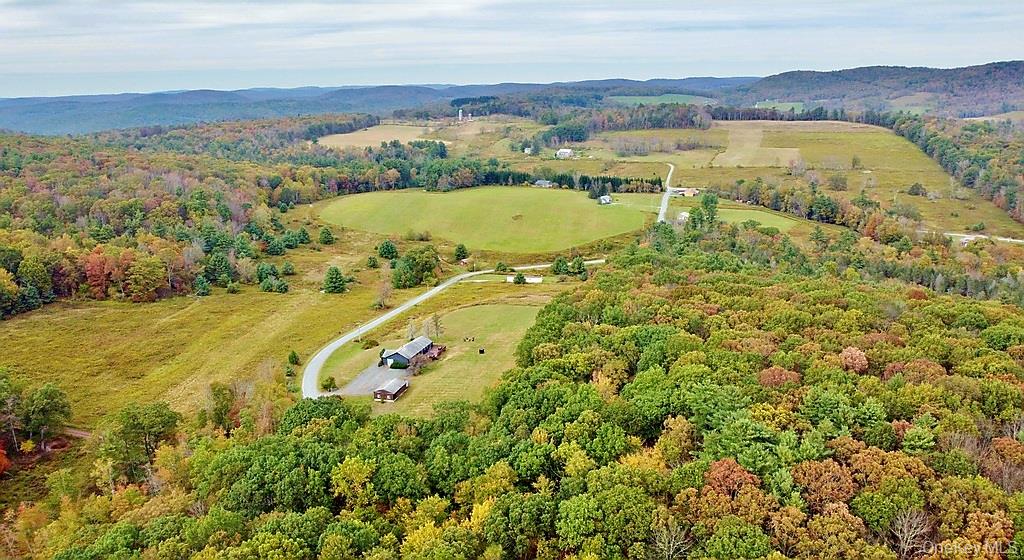 0 Kautz Road Callicoon, NY 12723 - Photo 5 of 12 a view of a city with an ocean
