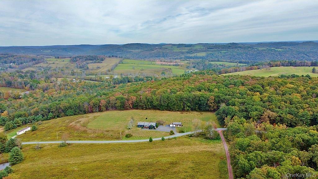 0 Kautz Road Callicoon, NY 12723 - Photo 6 of 12 a view of a big yard with lawn chairs and large trees