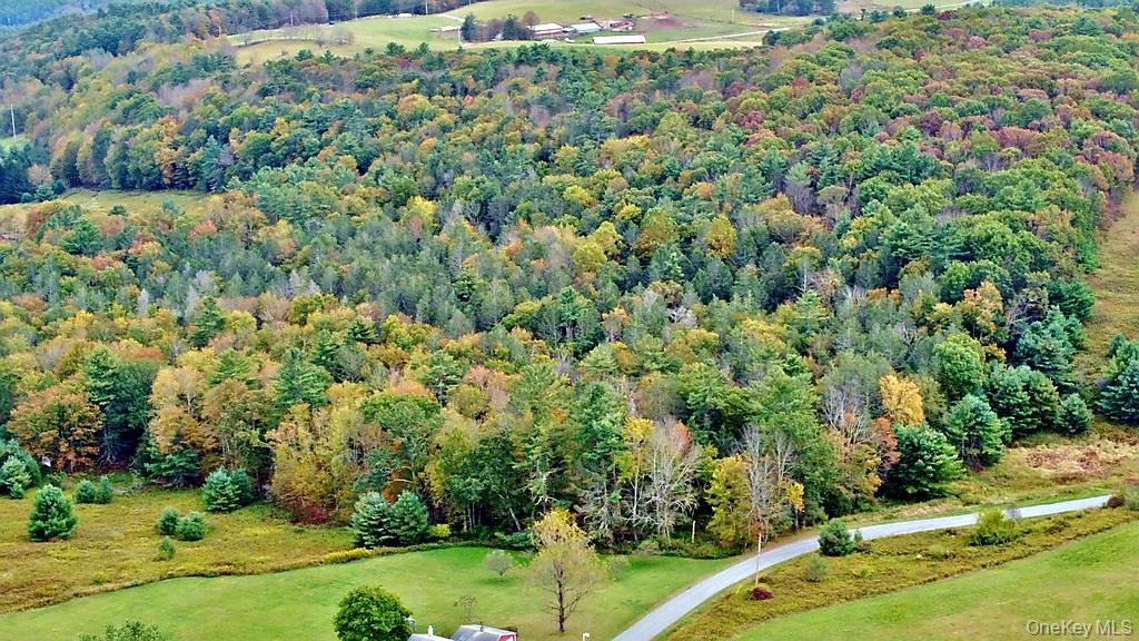 0 Kautz Road Callicoon, NY 12723 - Photo 7 of 12 an aerial view of residential house with outdoor space
