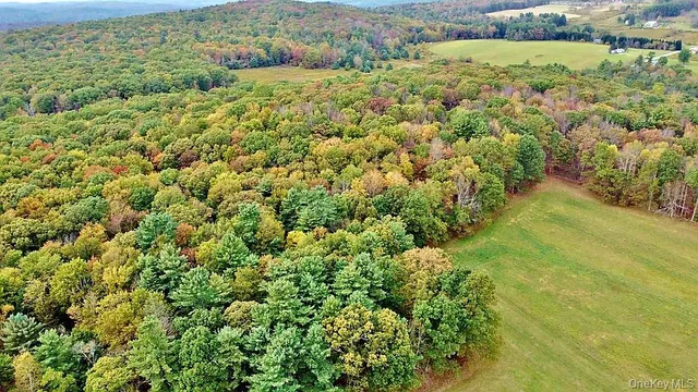 a view of a big yard with lots of green space