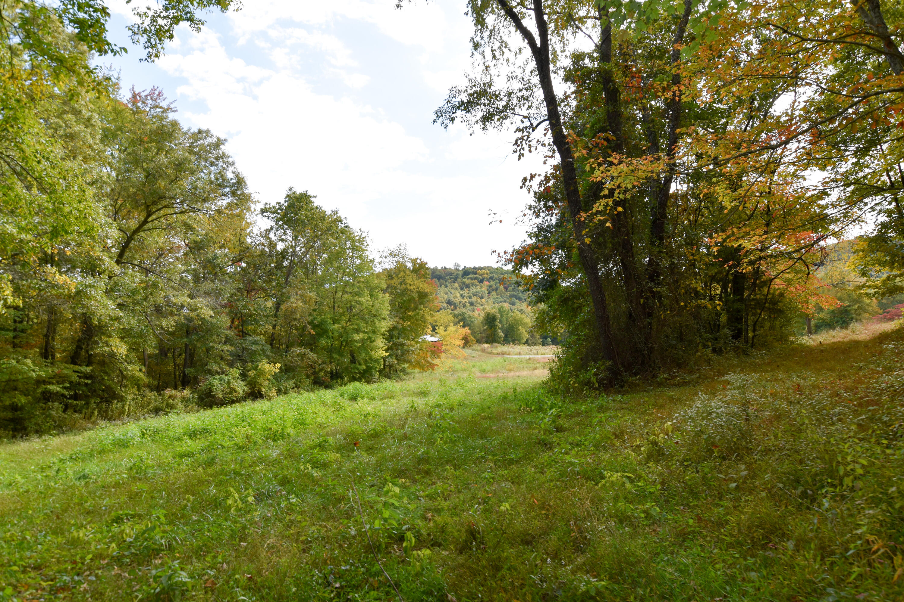 2390 Beechy Creek Road Wallingford, KY 41093 - Photo 70 of 89 DSC_0132