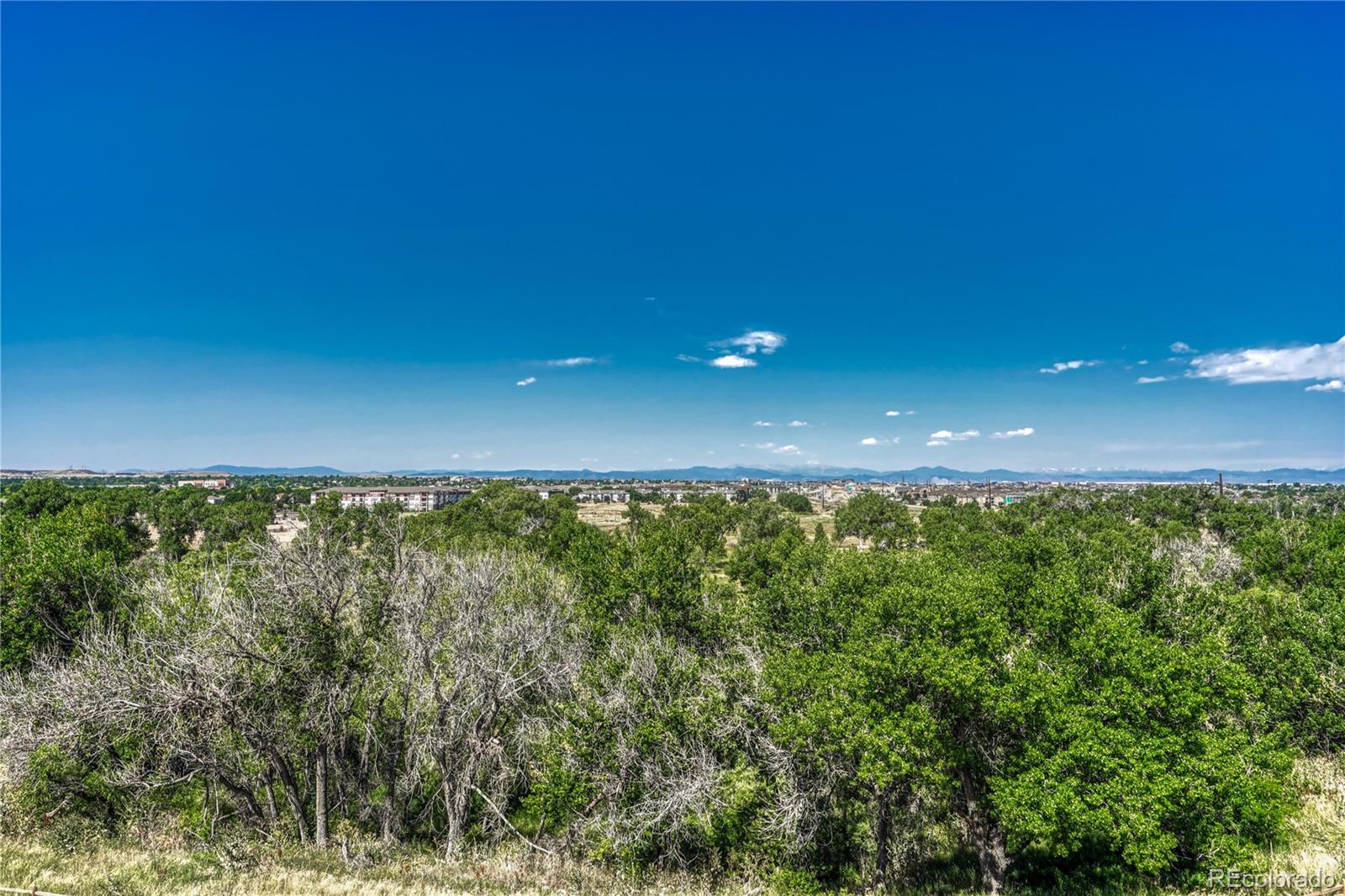 9291 Twenty Mile Road, Unit 408 Parker, CO 80134 - Photo 46 of 46