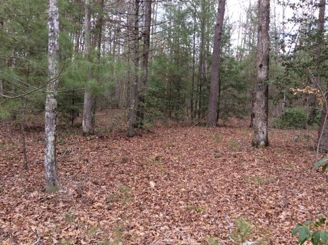 0 Shotgun Annie Road Jamestown, TN 38556 - Photo 5 of 17