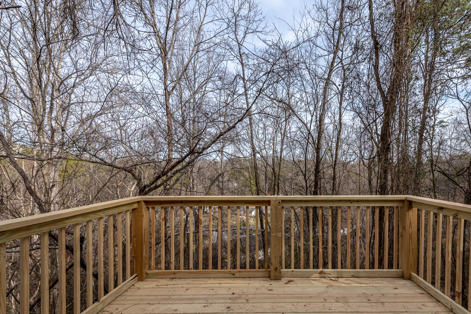 1025 Tramel Road Sevierville, TN 37862 - Photo 14 of 29 DSC_2537