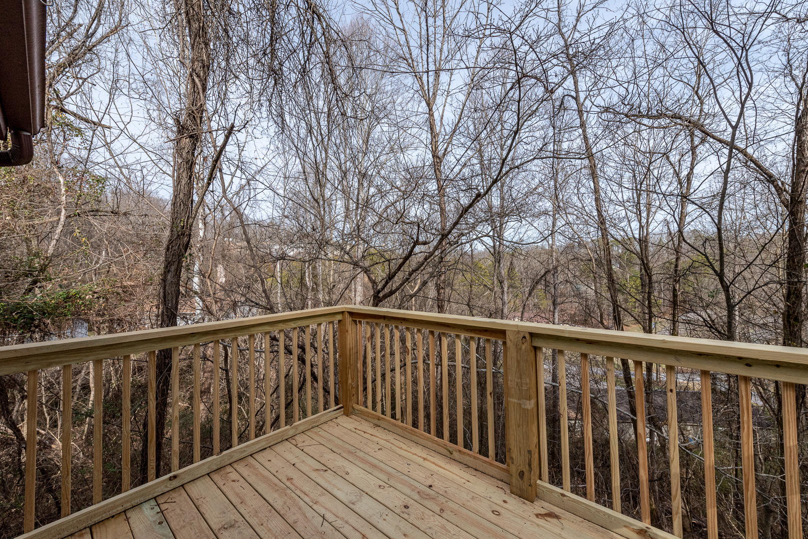 1025 Tramel Road Sevierville, TN 37862 - Photo 15 of 29 DSC_2538