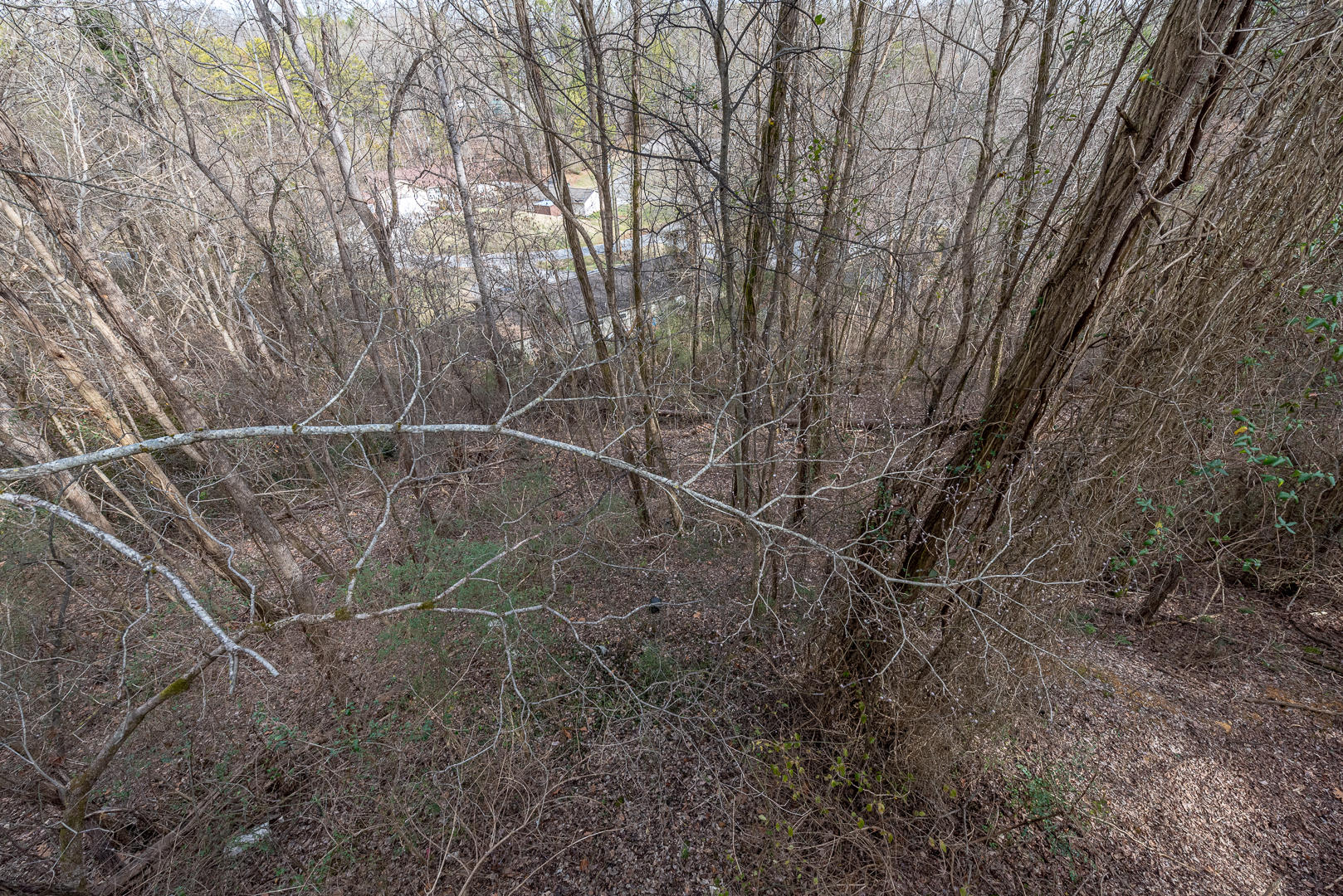 1025 Tramel Road Sevierville, TN 37862 - Photo 16 of 29 DSC_2539