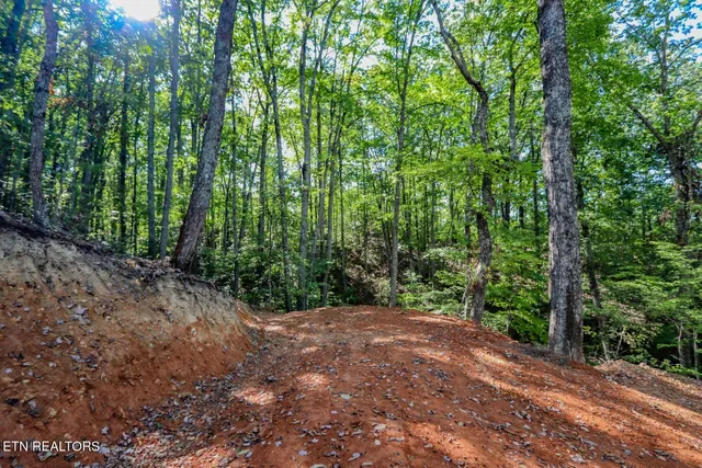 $36,500 | 133 Huffman Way, Newport, TN 37821