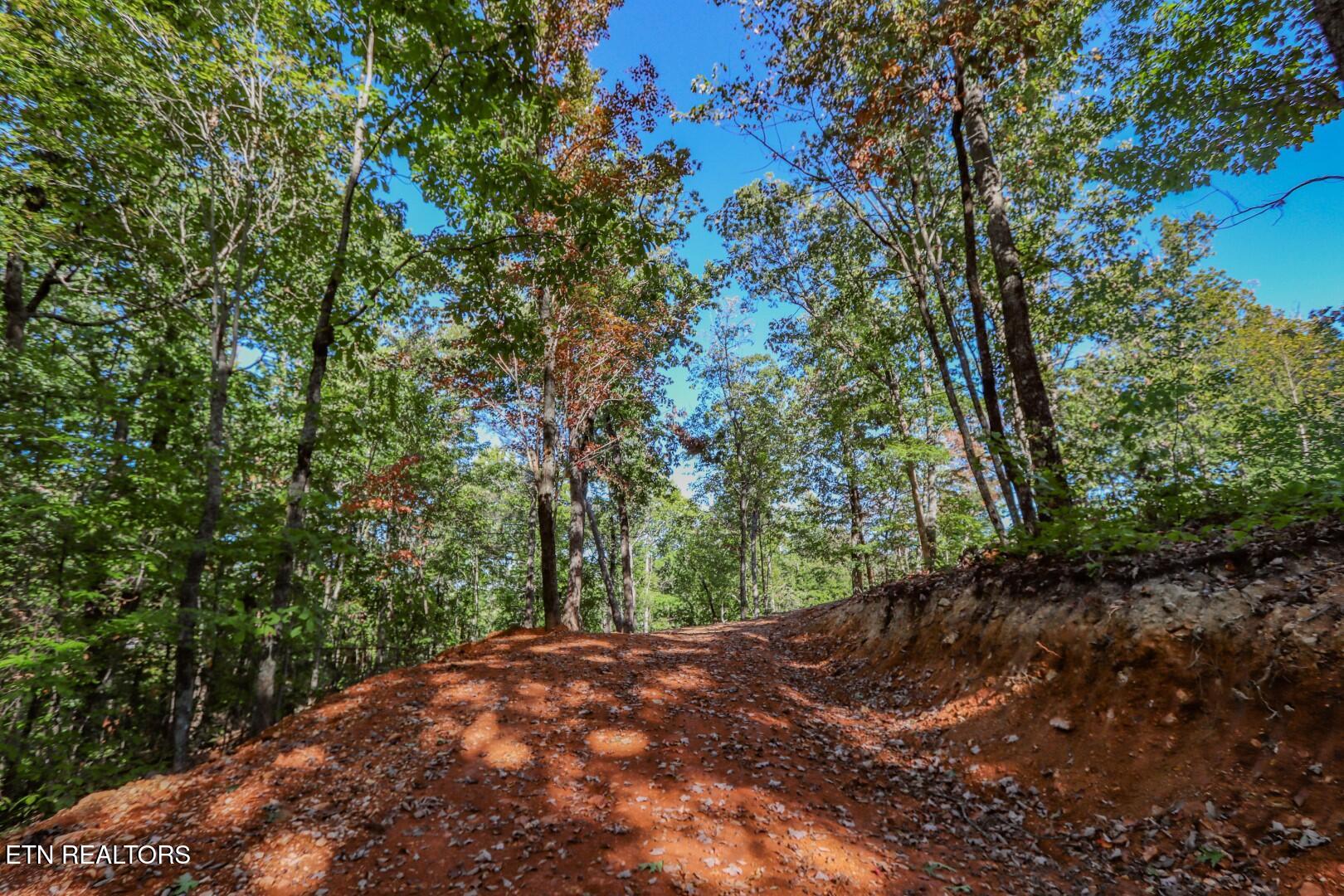 133 Huffman Way Newport, TN 37821 - Photo 15 of 23 15