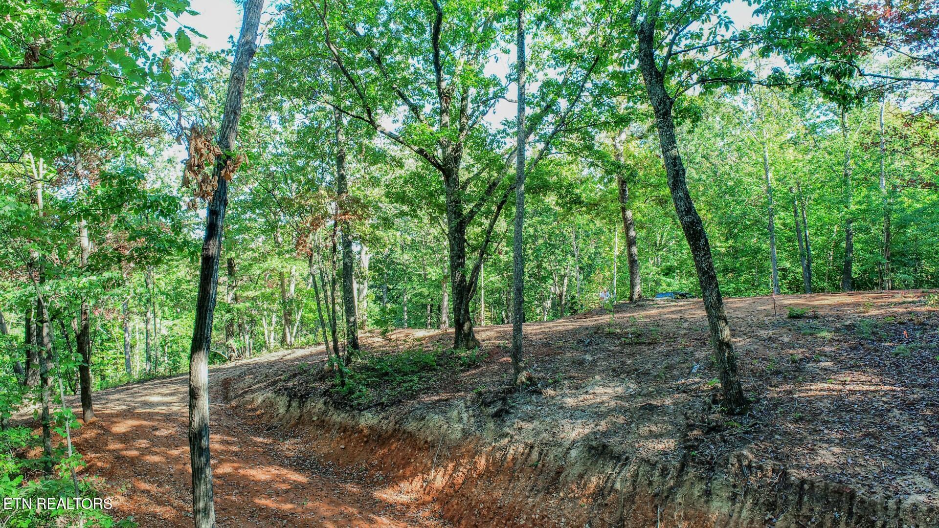 133 Huffman Way Newport, TN 37821 - Photo 17 of 23 17