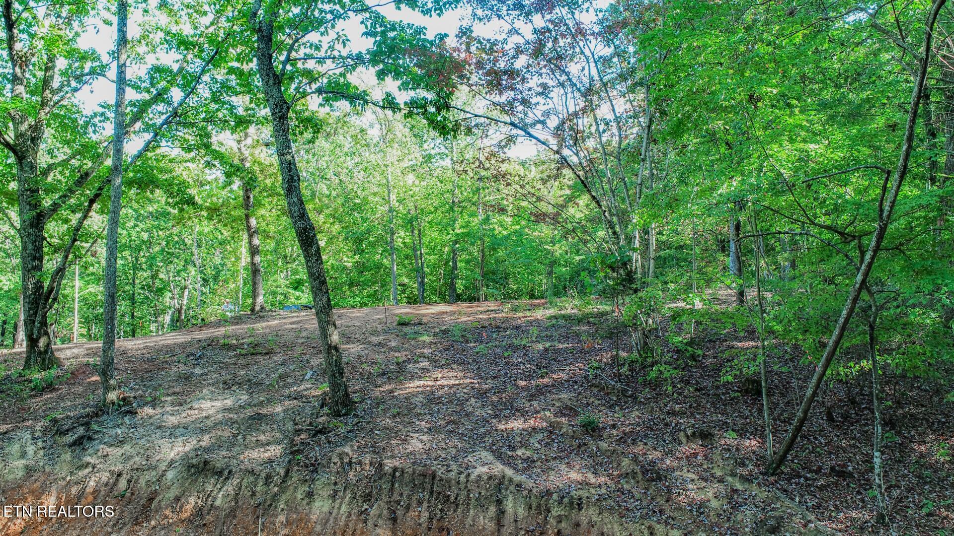 133 Huffman Way Newport, TN 37821 - Photo 19 of 23 19