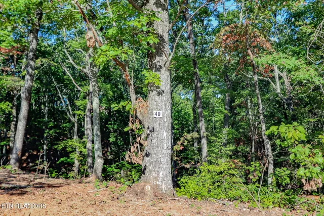 $36,500 | 133 Huffman Way, Newport, TN 37821