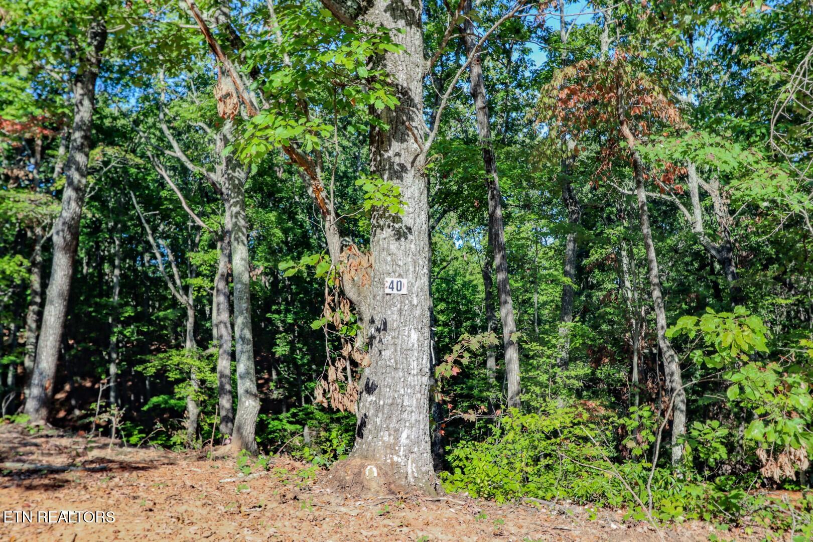 133 Huffman Way Newport, TN 37821 - Photo 21 of 23 21