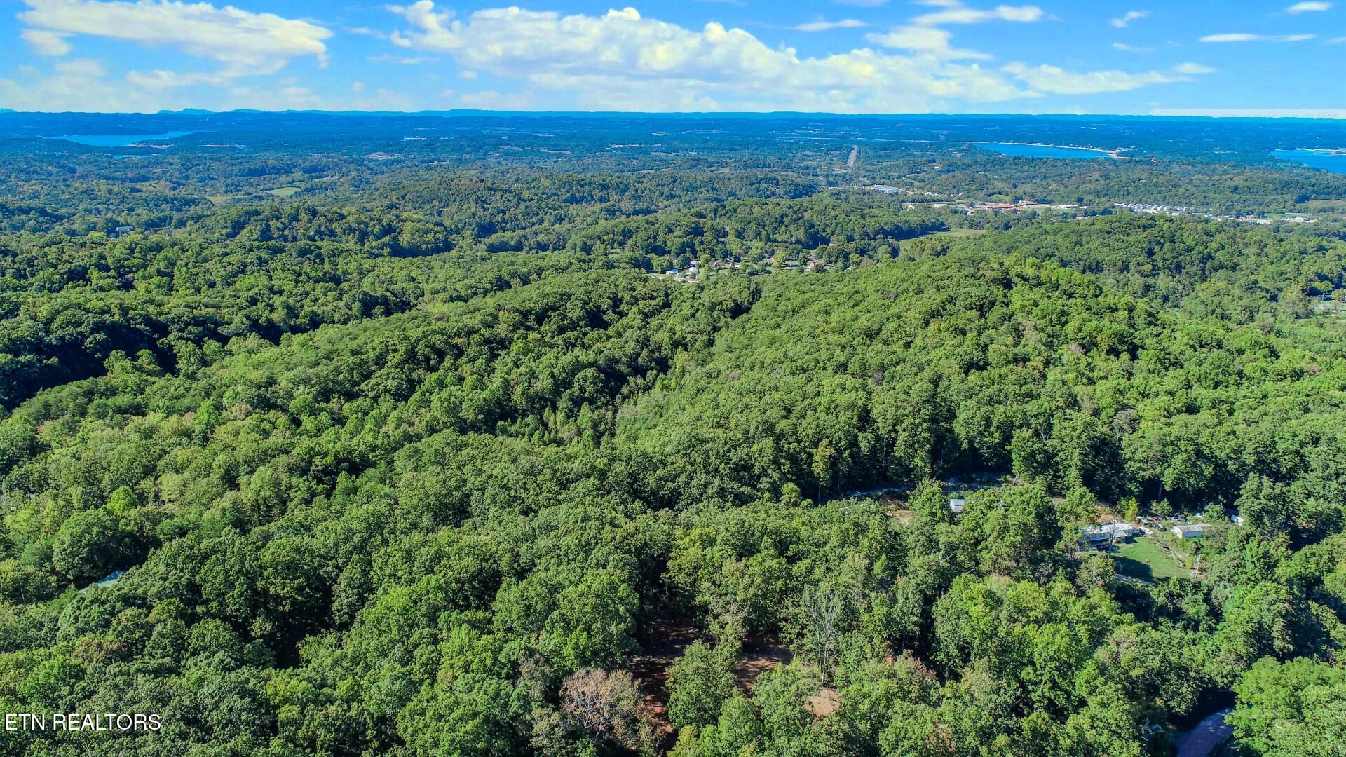 133 Huffman Way Newport, TN 37821 - Photo 3 of 23 3