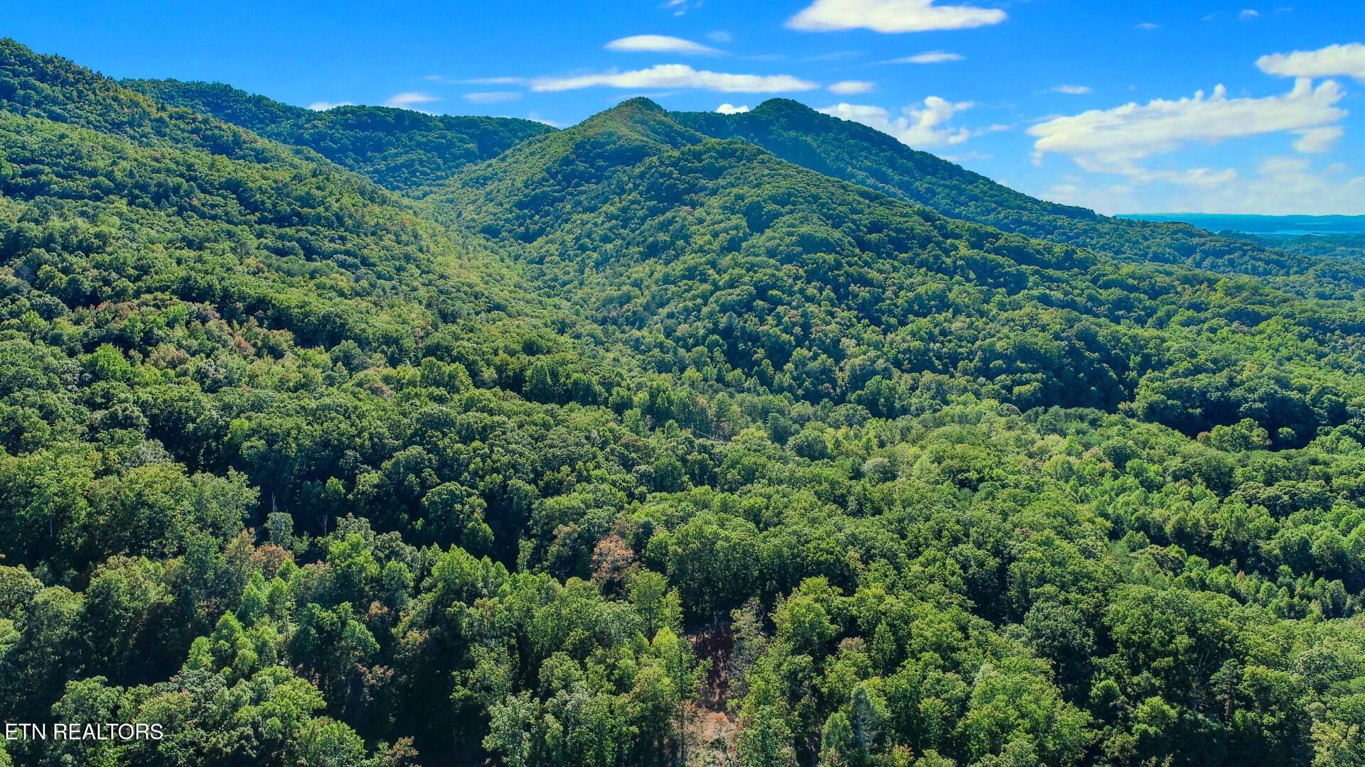 133 Huffman Way Newport, TN 37821 - Photo 4 of 23 4