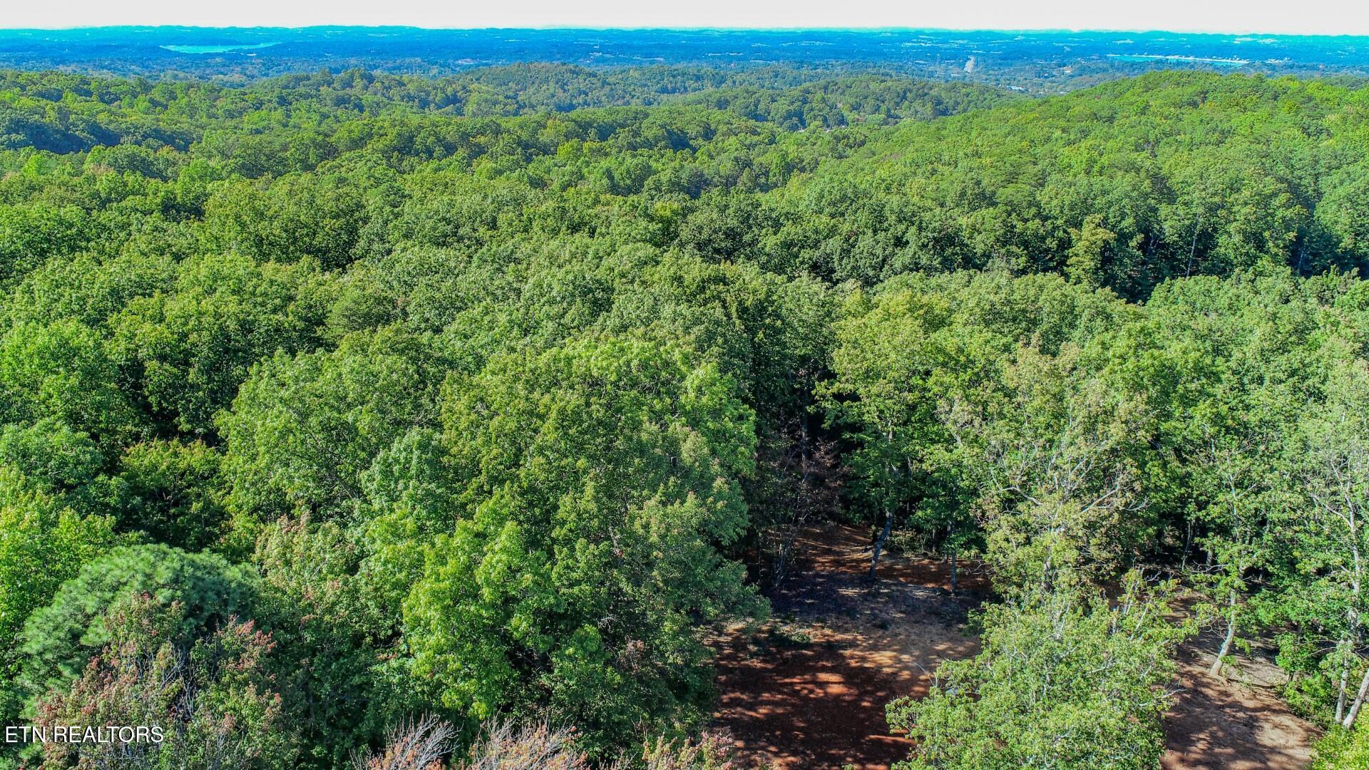 133 Huffman Way Newport, TN 37821 - Photo 5 of 23 5