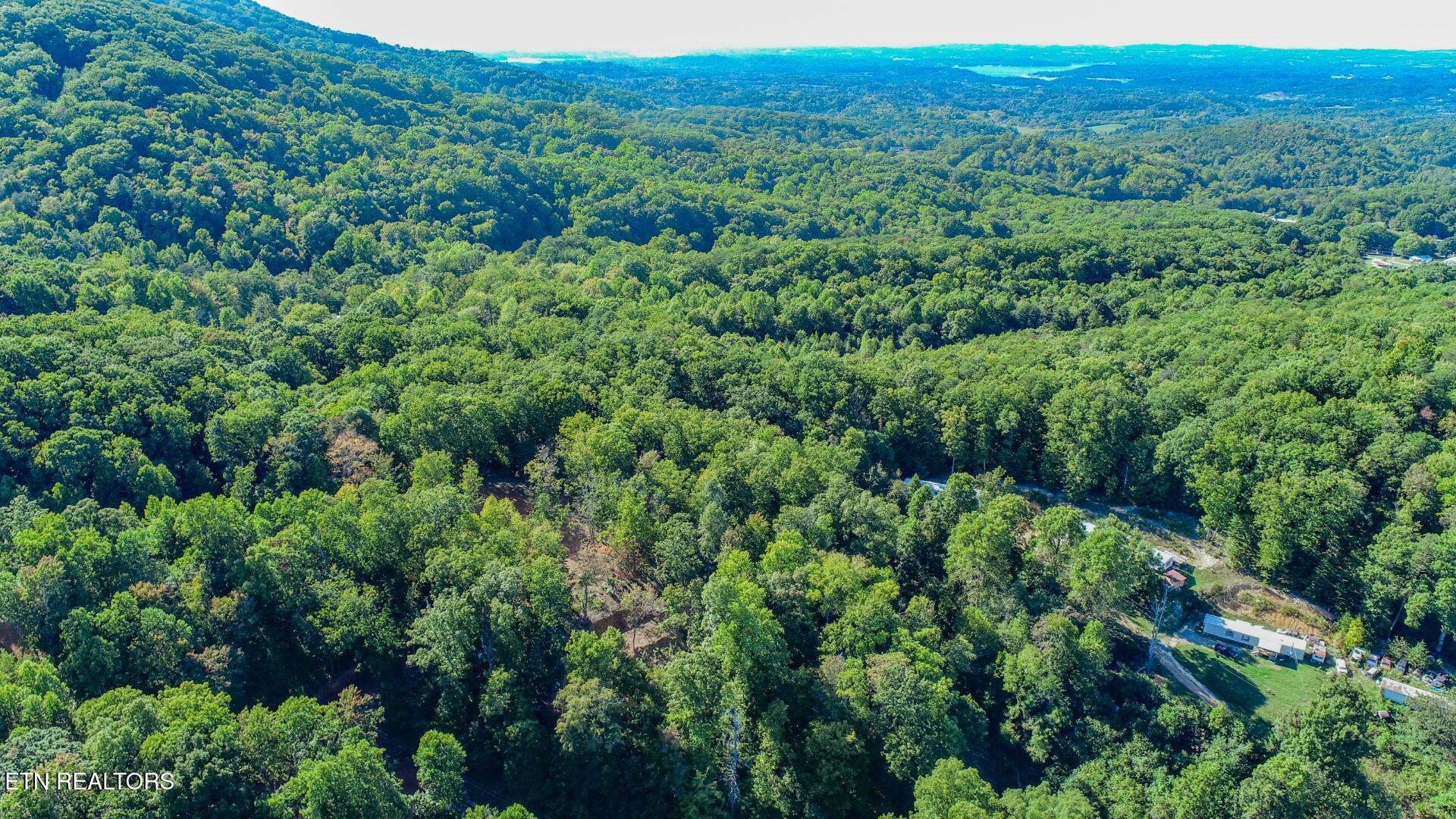 133 Huffman Way Newport, TN 37821 - Photo 6 of 23 6