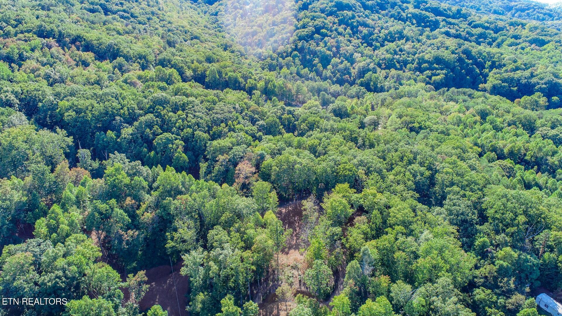 133 Huffman Way Newport, TN 37821 - Photo 7 of 23 7