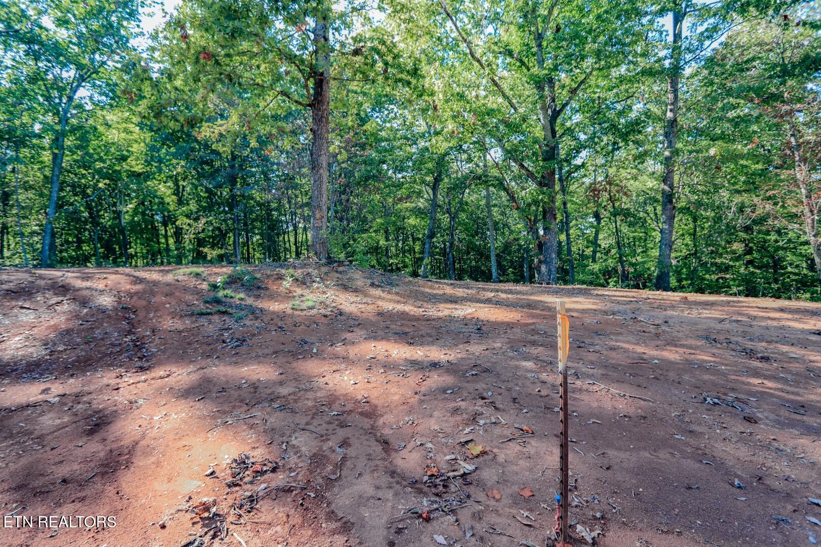 133 Huffman Way Newport, TN 37821 - Photo 9 of 23 9