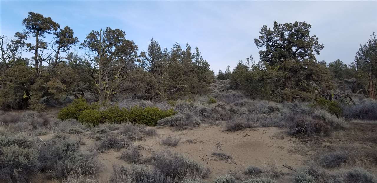 23 Pine Top Road Weed, CA 96094 - Photo 3 of 13 Gallery Image 3