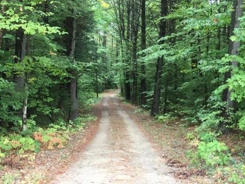 450 Old County Road North Deering, NH 03244 - Photo 32 of 37
