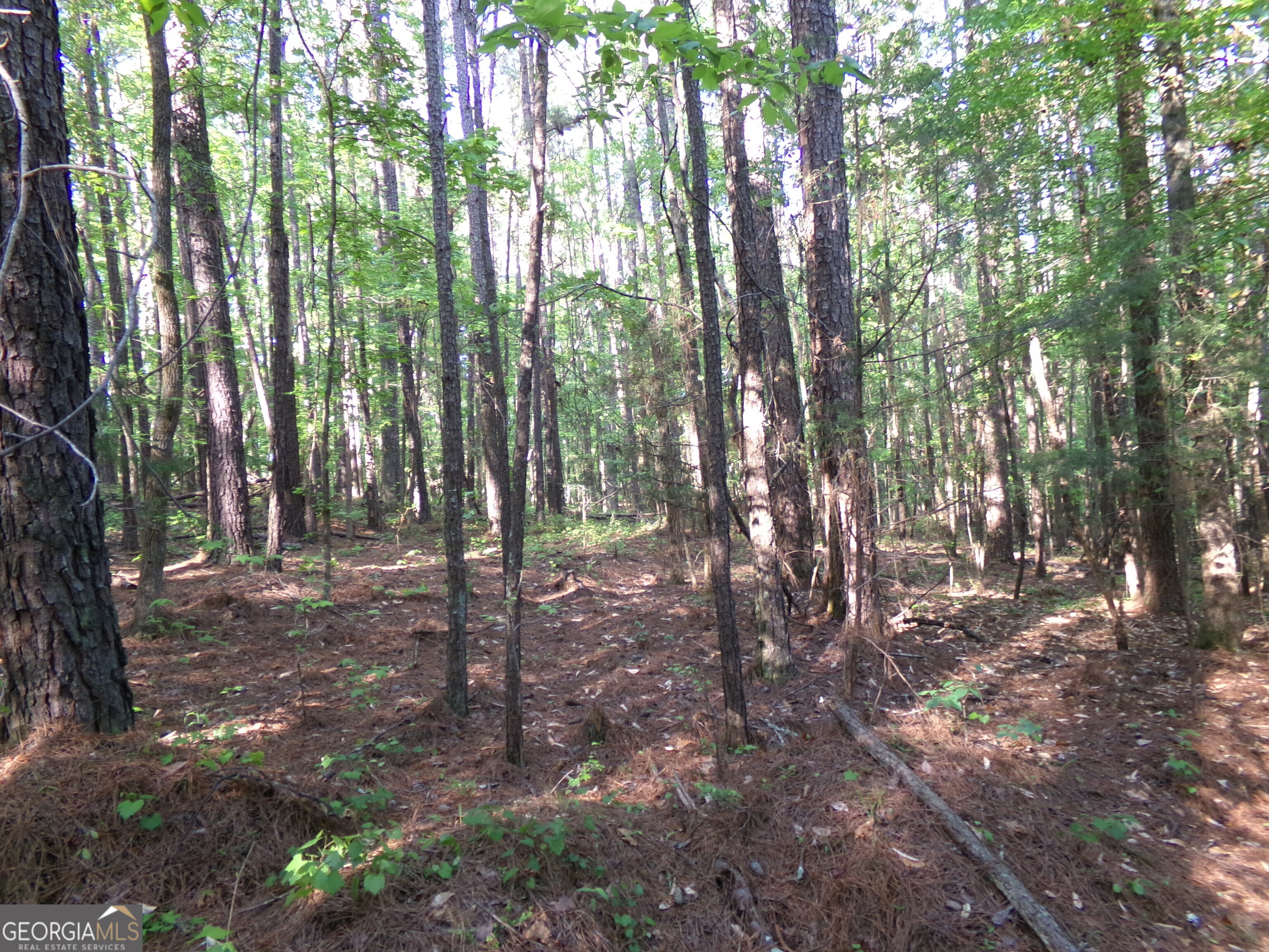 3905 Highway 138 Covington, GA 30014 - Photo 18 of 40