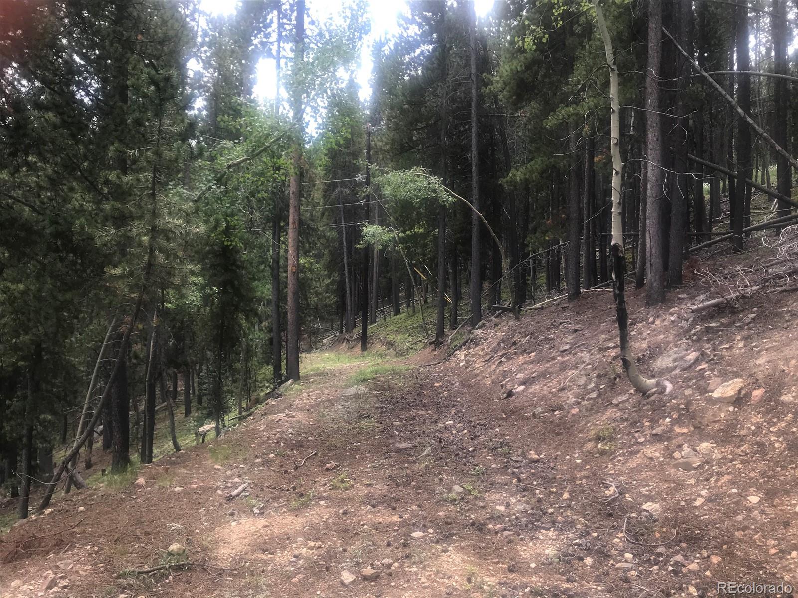 Apache Road Evergreen, CO 80439 - Photo 1 of 5 Gallery Image 1