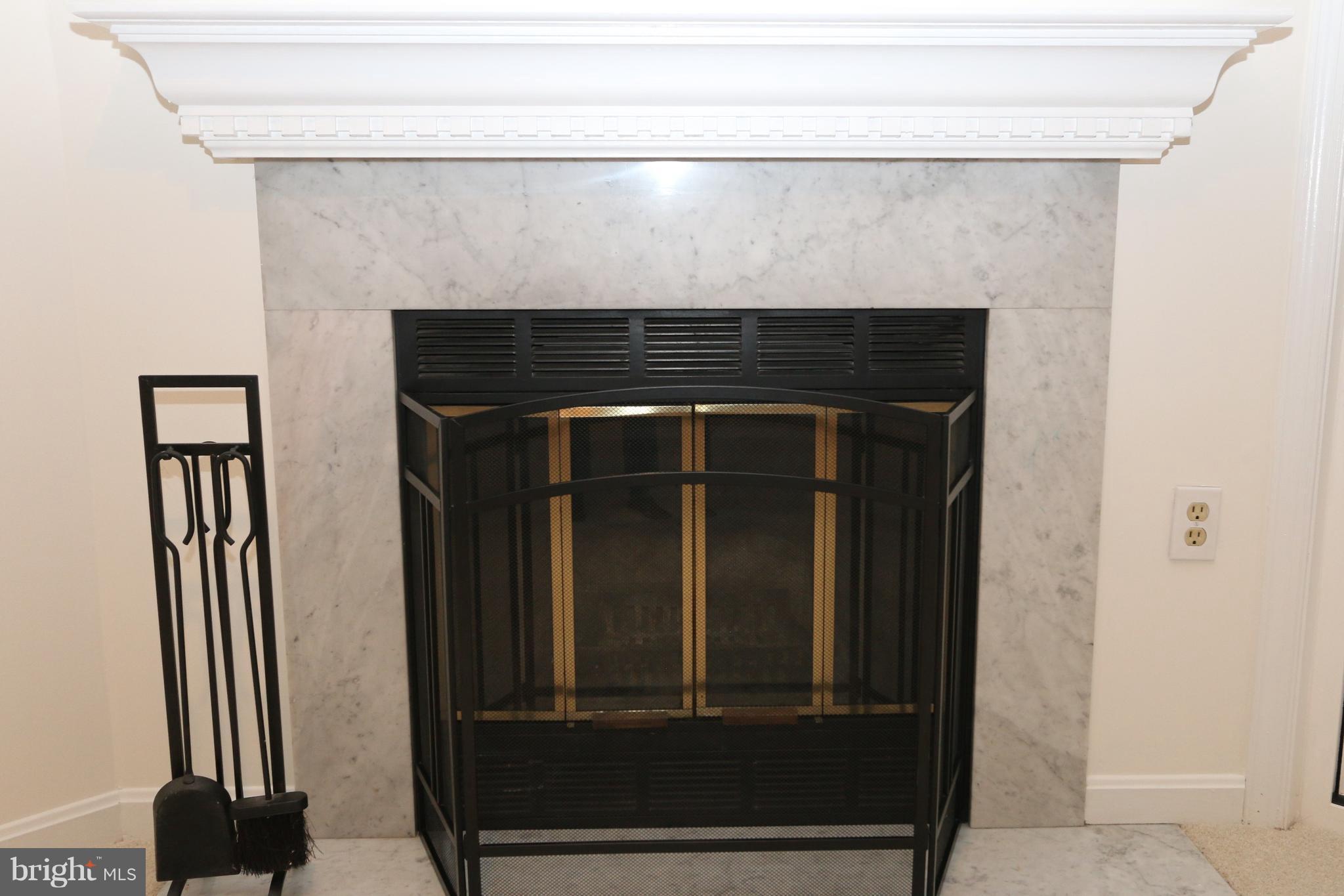 11932 Sentinel Point Court Reston, VA 20191 - Photo 22 of 30 Wood-burning Fireplace in Rec Room