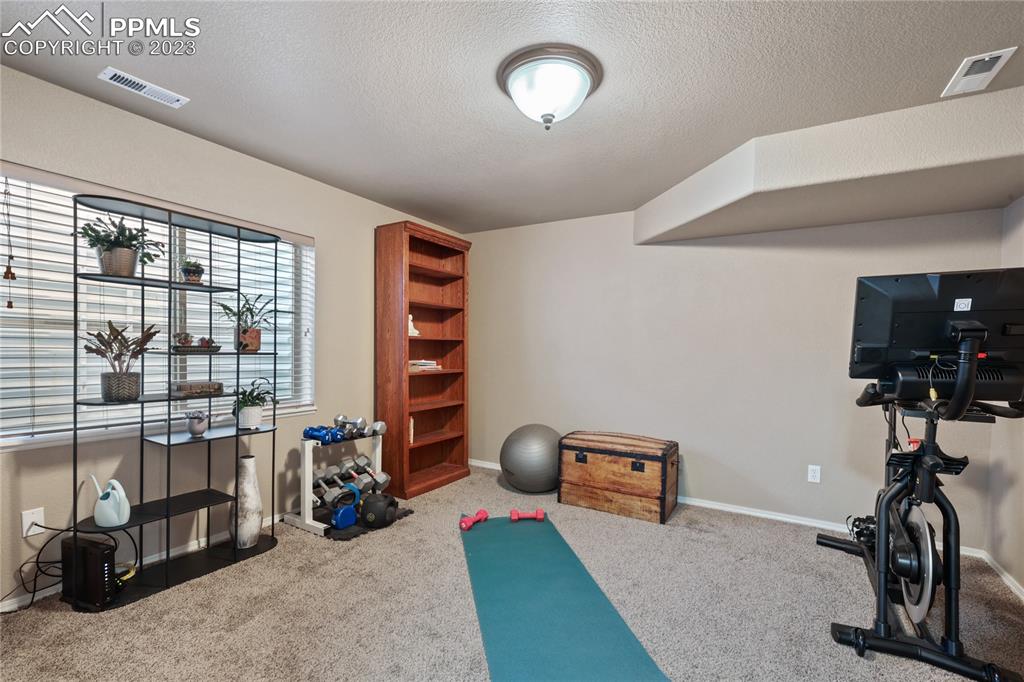 6435 Coyote Ridge Court Colorado Springs, CO 80923 - Photo 40 of 50 a view of a room with gym equipment