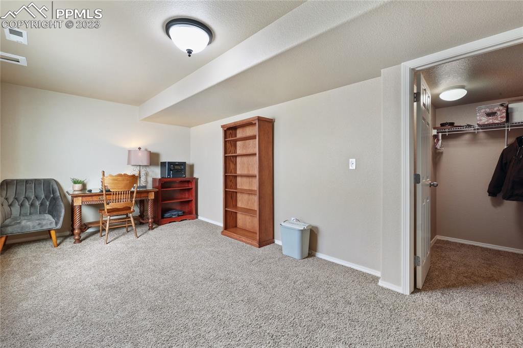 6435 Coyote Ridge Court Colorado Springs, CO 80923 - Photo 43 of 50 a view of a room with furniture and chandelier fan