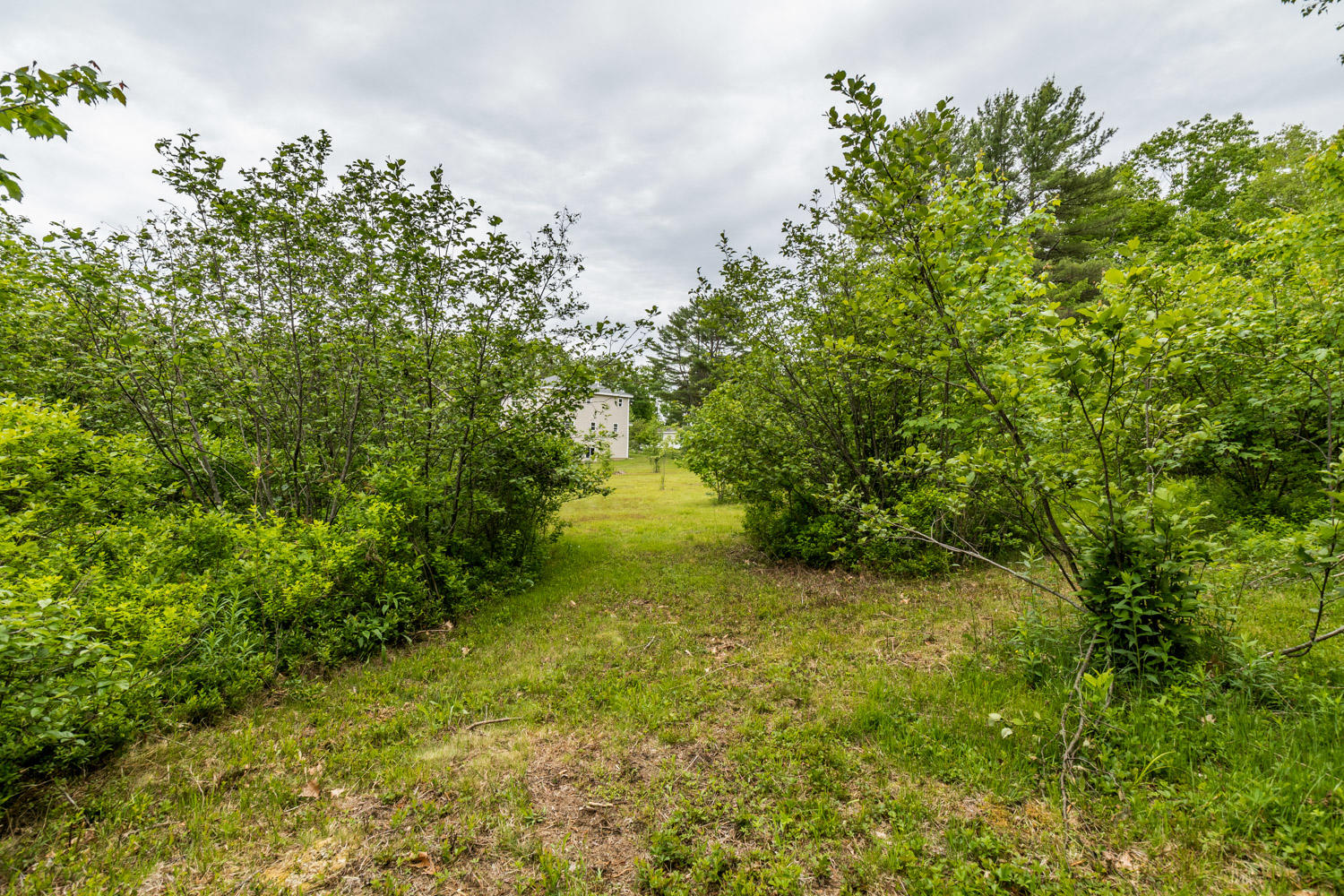 406 Meadow Road Woolwich, ME 04579 - Photo 69 of 77 20200609ms-85012