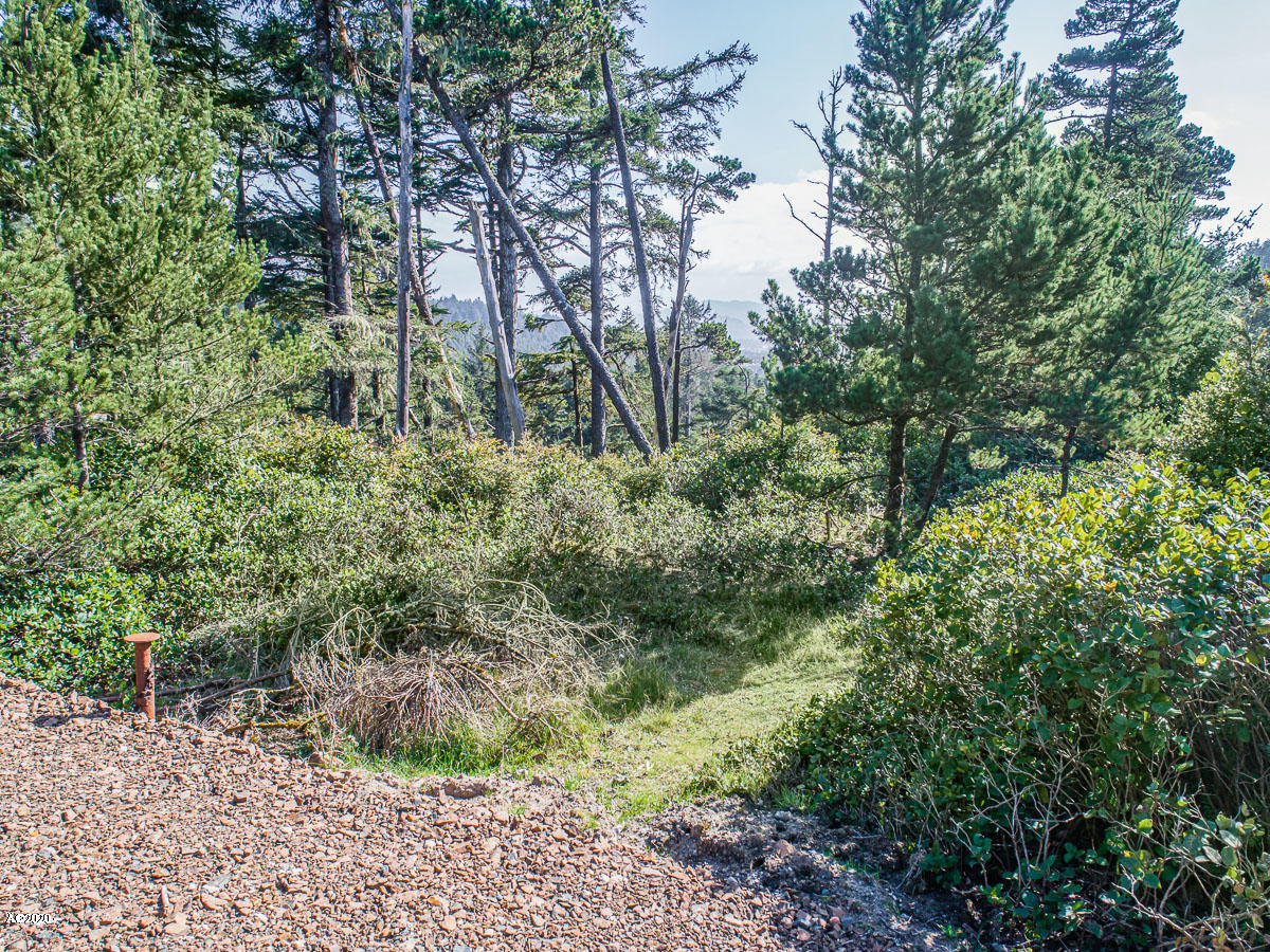 6900 Pine Road Pacific City, OR 97135 - Photo 1 of 10 TL 6900 Pine Ave_01_MLS