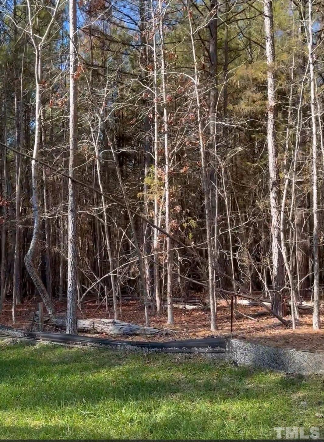 Lot 8 Array Drive Hillsborough, NC 27278 - Photo 2 of 13 front view of a house with a yard