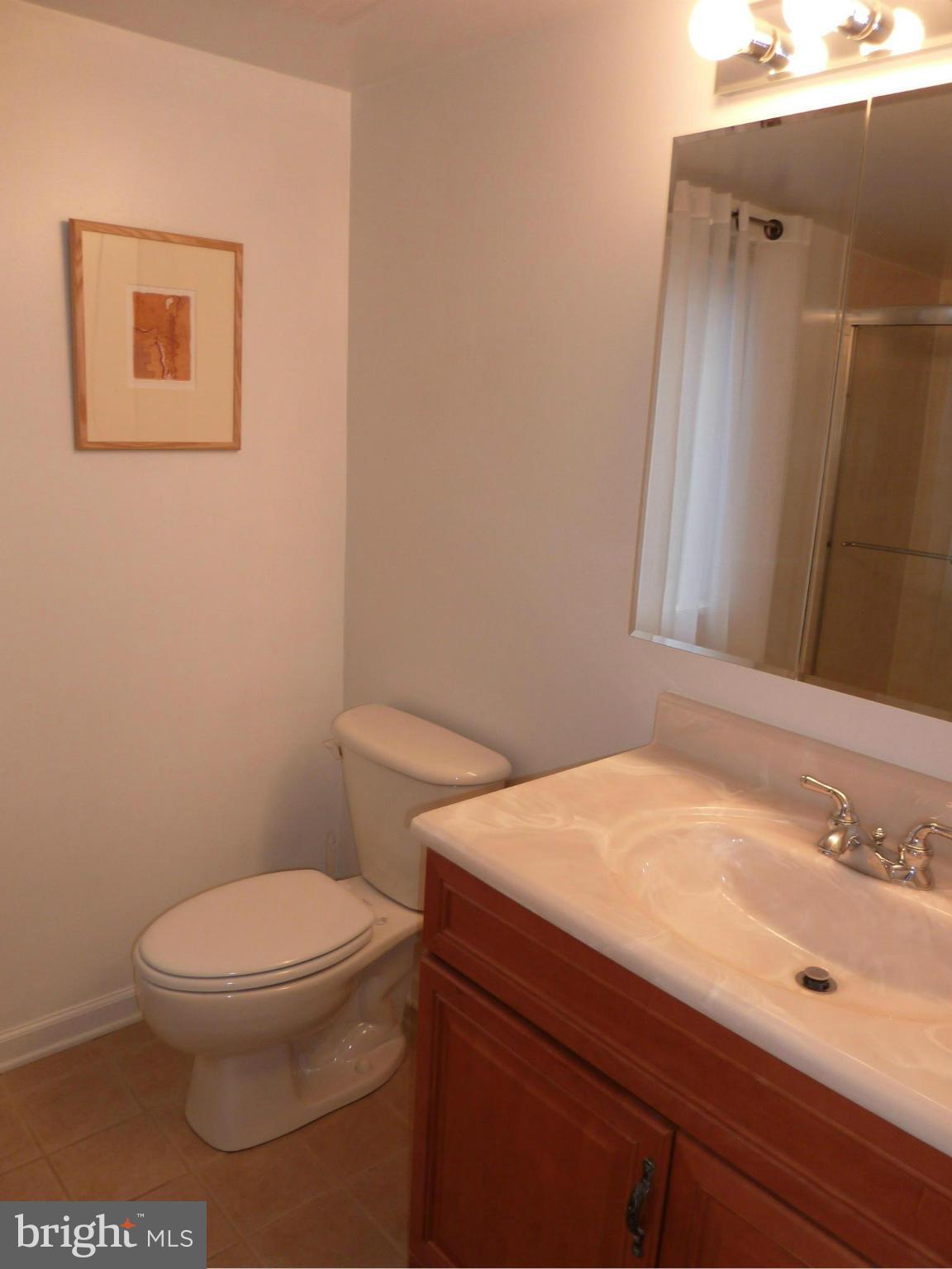 1418 Northgate Square, Unit 12C Reston, VA 20190 - Photo 14 of 19 Master Bath