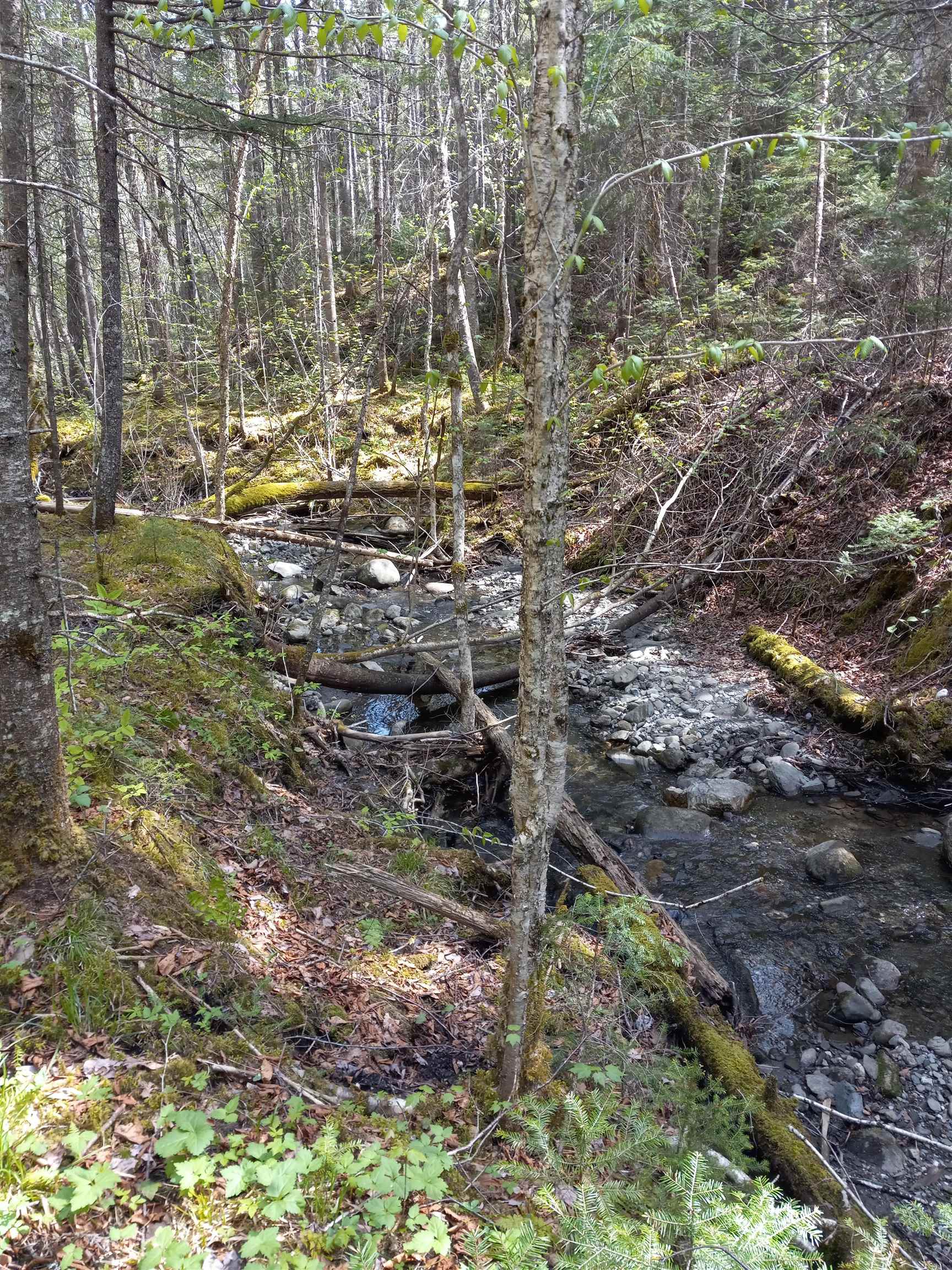 - Harrys Way Colebrook, NH 03576 - Photo 6 of 59