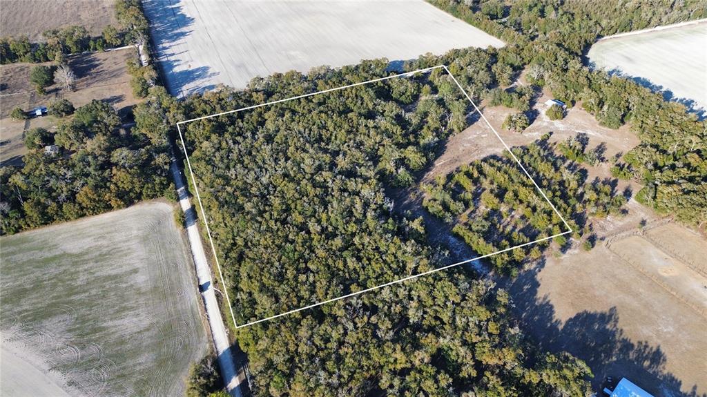 3829 Rodeo Road Bell, FL 32619 - Photo 2 of 9