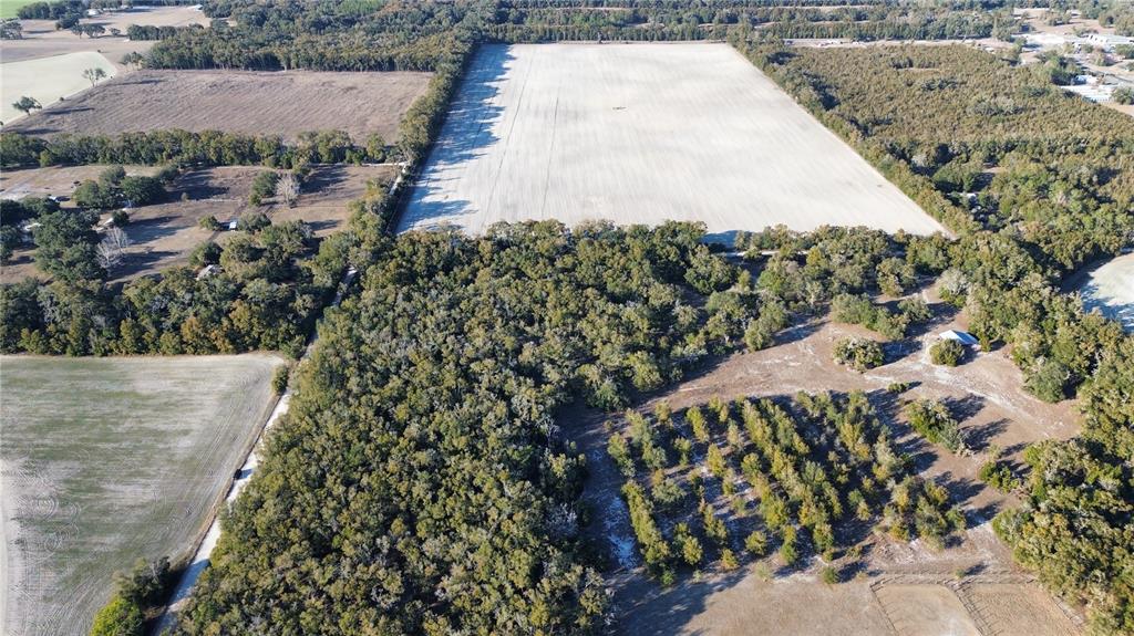 3829 Rodeo Road Bell, FL 32619 - Photo 4 of 9