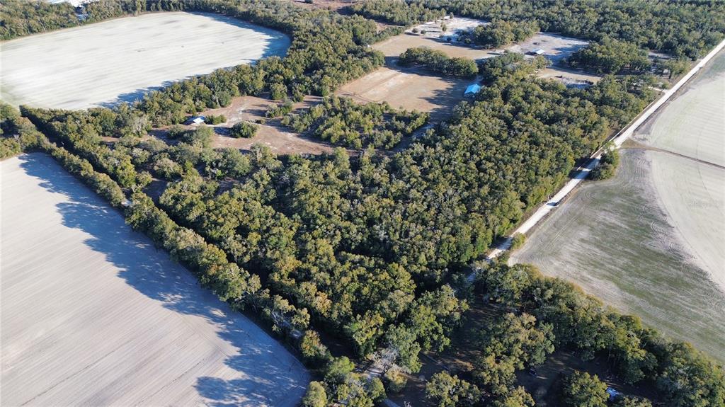 3829 Rodeo Road Bell, FL 32619 - Photo 8 of 9