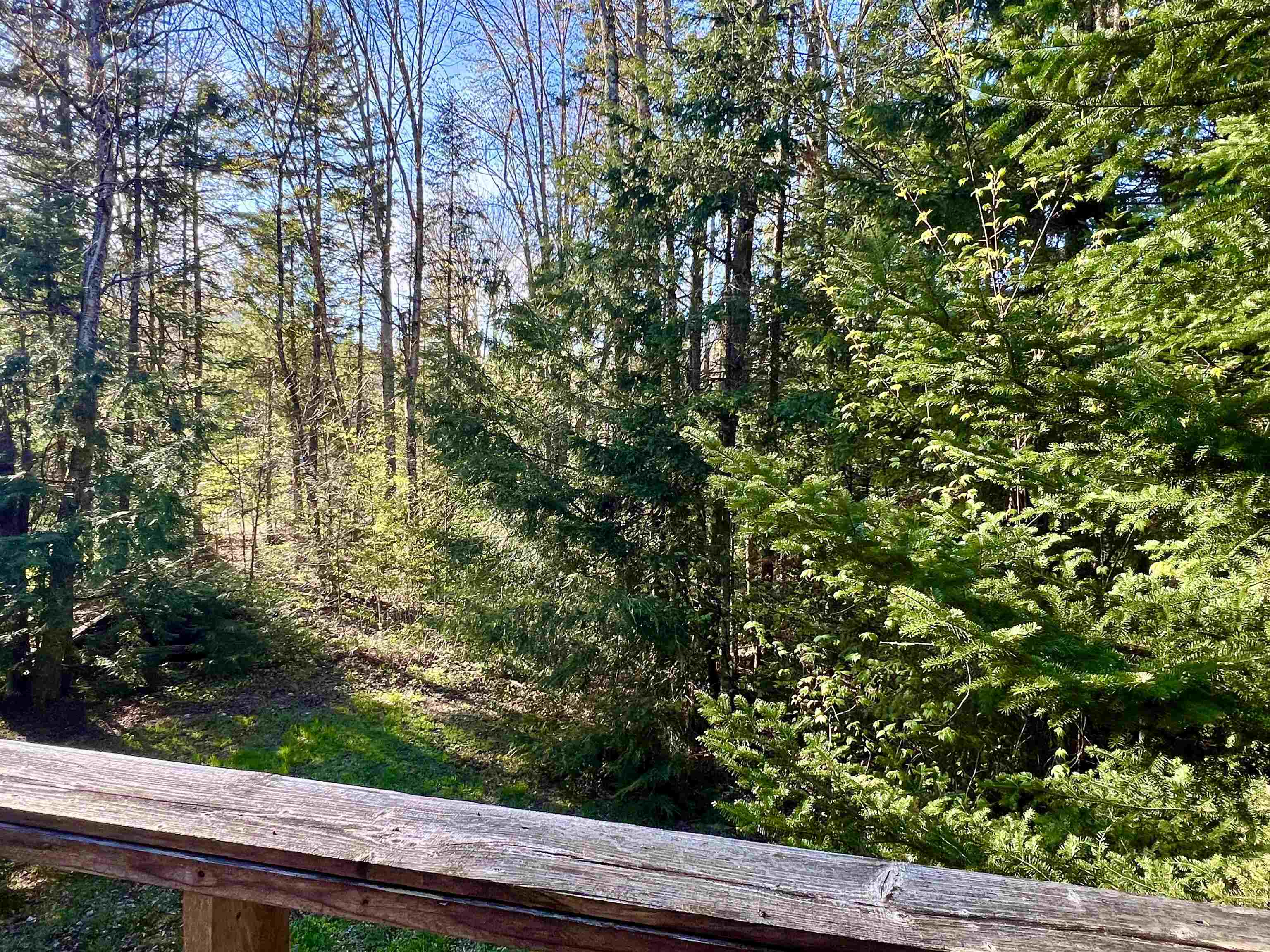 559 Corporation Road Rochester, VT 05767 - Photo 22 of 47