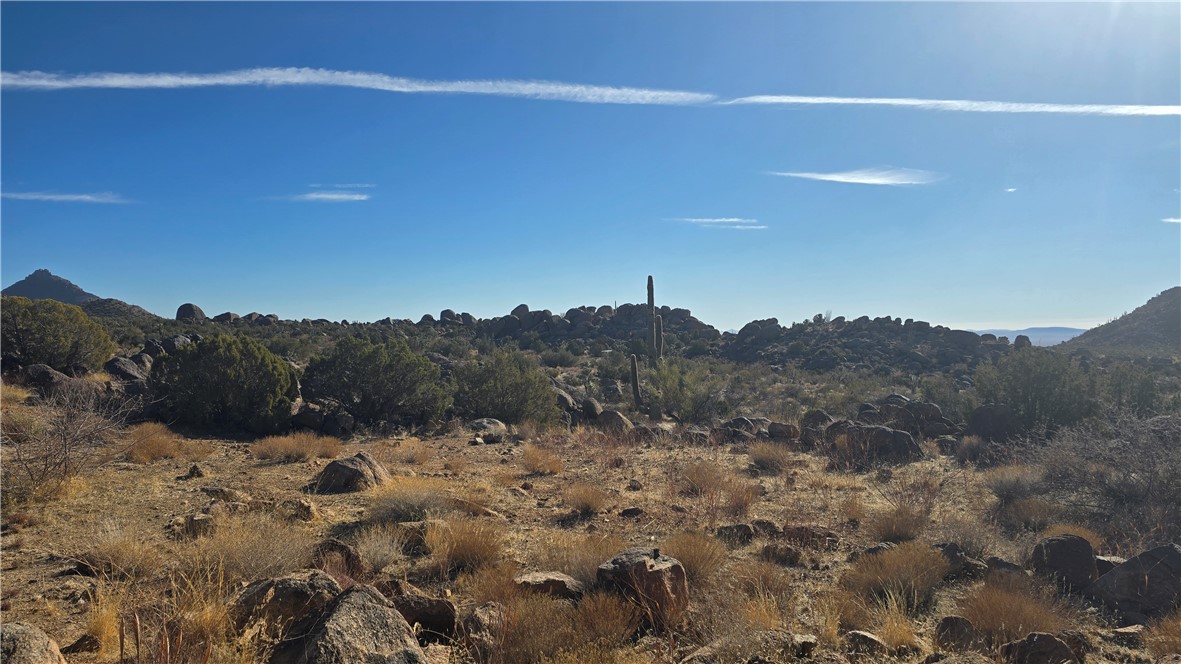 3618 South Cattle Kate Road Yucca, AZ 86438 - Photo 3 of 44 Gorgeous Scenic Views
