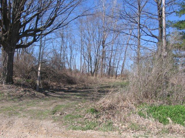 Vl Townsend Applegate, MI 48401 - Photo 14 of 31